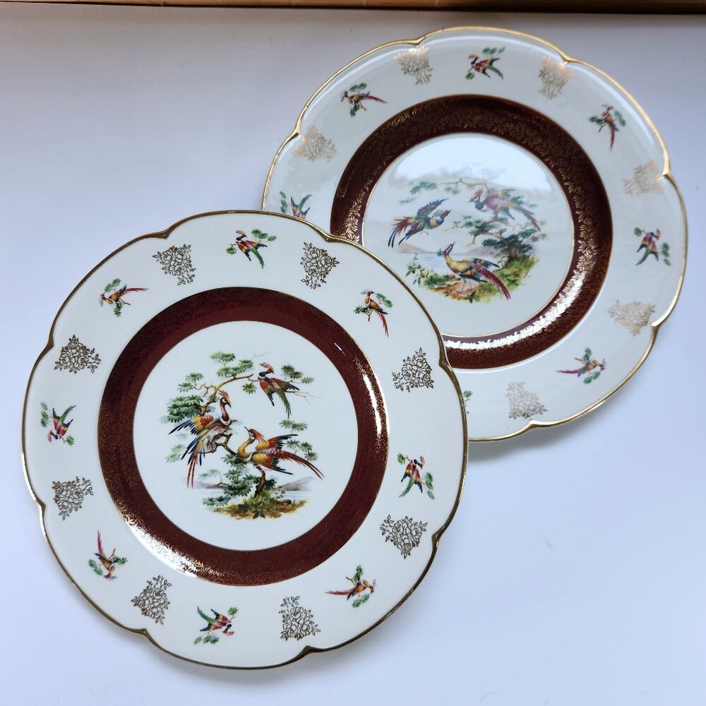 Wood & Sons Ascot Ironstone Plates – 10¾” Set of 2 – Vintage Transferware